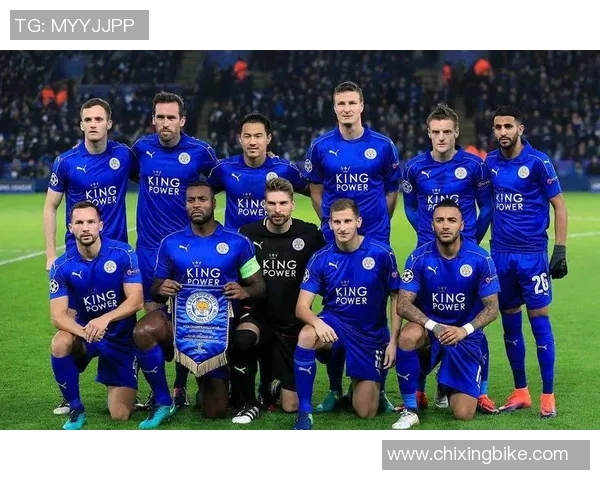 惠灵顿凤凰迎战中部海岸水手期待精彩对决与激烈竞争