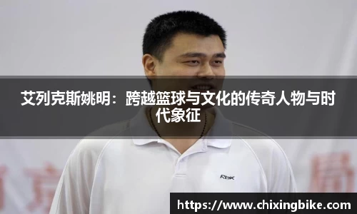 BB贝博官网入口