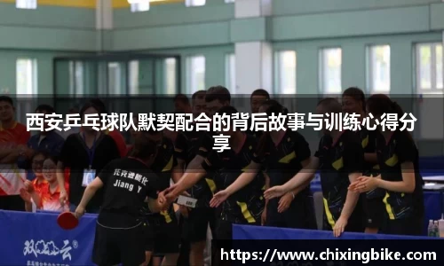 BB贝博官网入口