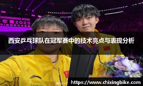 BB贝博官网入口