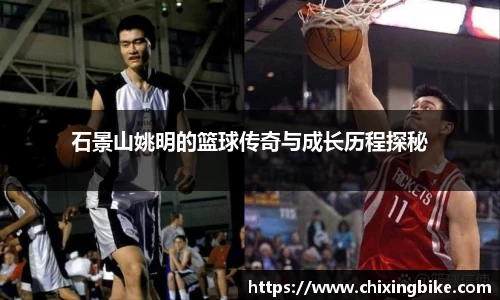 BB贝博官网入口