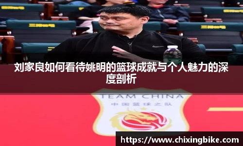 BB贝博官网入口