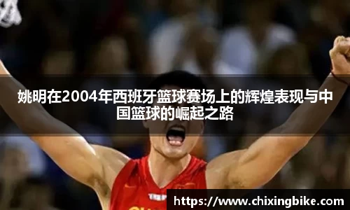BB贝博官网入口