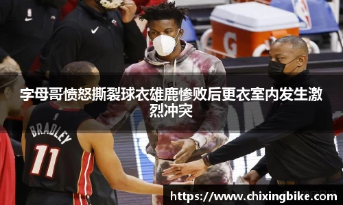 BB贝博官网入口