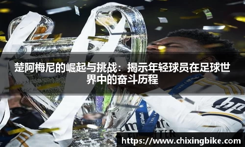BB贝博官网入口