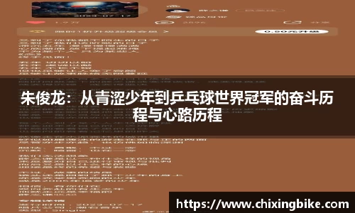 BB贝博